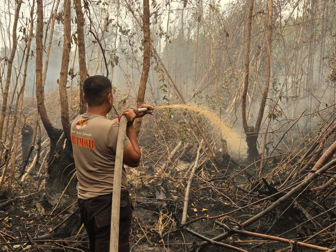 Satbrimob Polda Kalteng Terus Lakukan Pembasahan Karhutla di Banturung