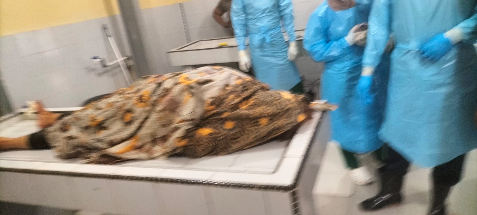 Tragedi Rumah Tangga di Medan: Seorang Istri Tewas Diduga Akibat Penganiayaan Suami