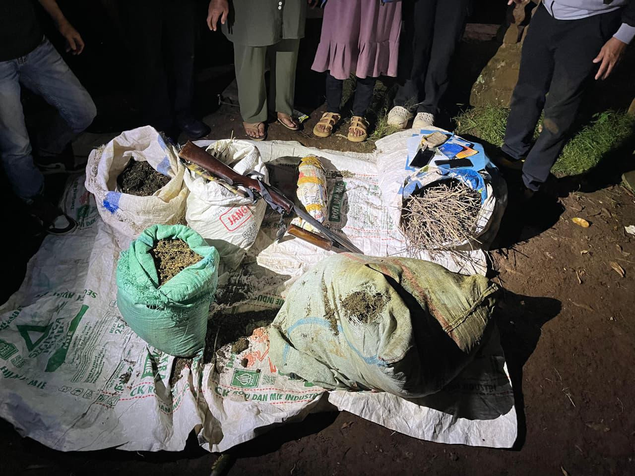 Operasi Gabungan Polda Sumsel Bongkar Ladang Ganja 20 Hektar di Empat Lawang, 220 Kg Ganja dan Bandar Utama Ditangkap