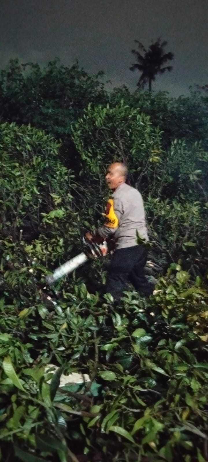 Bhabinkamtibmas Jaticempaka Sigap Evakuasi Pohon Tumbang Timpa Pos Ronda